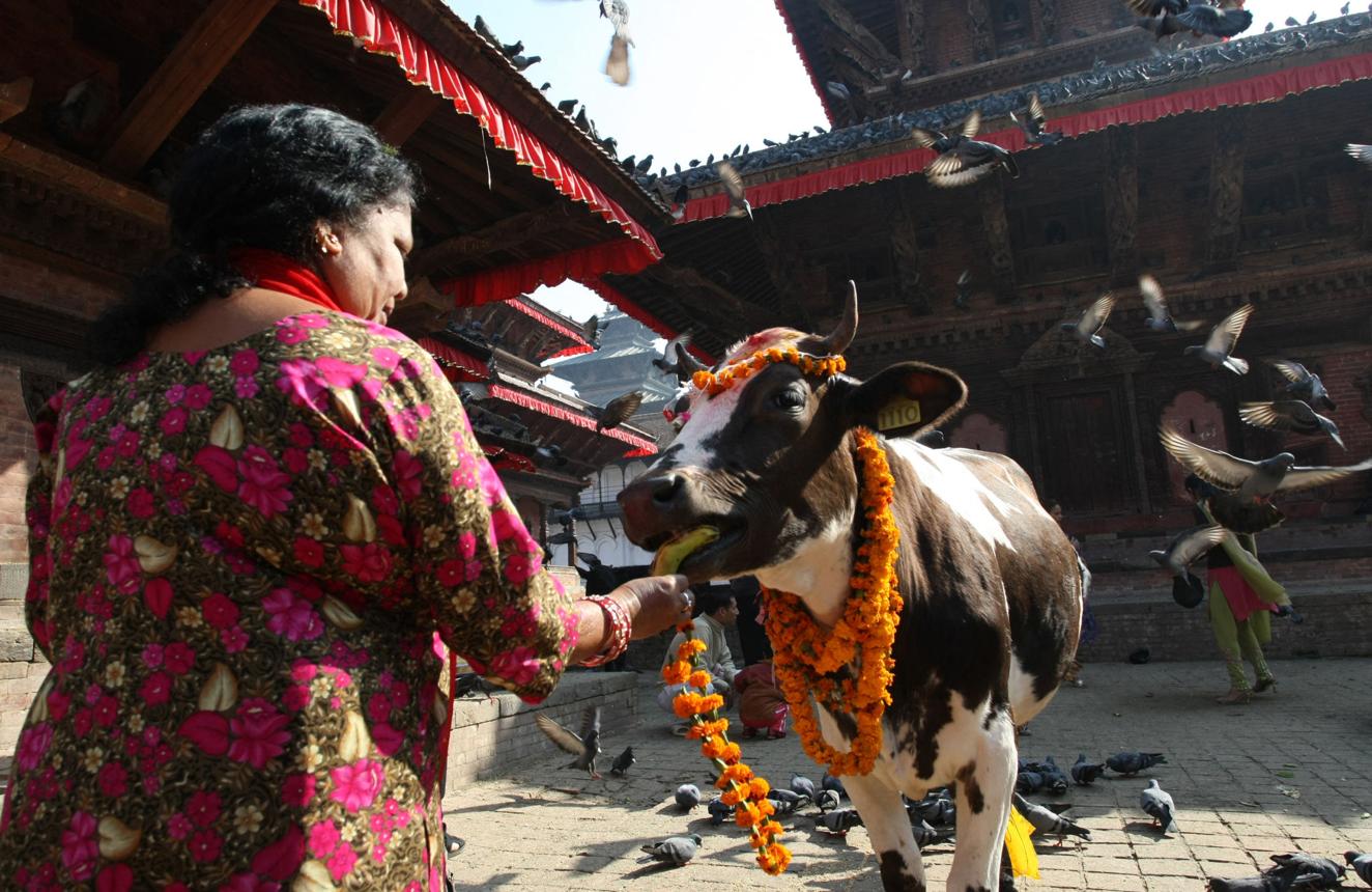 Nepal Culture